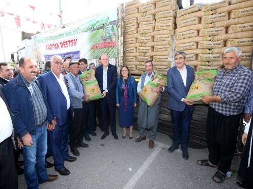 Büyükşehir,den Çiftçilere Buğday ve Arpa tohumu.